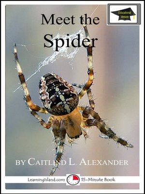 cover image of Meet the Spider